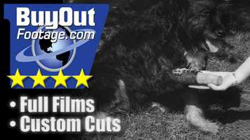 Free download Dog Learns To Walk Again Using Wooden Leg 1931 video and edit with RedcoolMedia movie maker MovieStudio video editor online and AudioStudio audio editor onlin