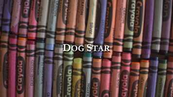 Free download DogStar video and edit with RedcoolMedia movie maker MovieStudio video editor online and AudioStudio audio editor onlin
