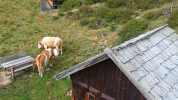 Free download Dolomiti video and edit with RedcoolMedia movie maker MovieStudio video editor online and AudioStudio audio editor onlin