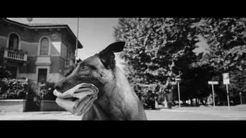 Free download Domani, TVC 2020  Im not a robot video and edit with RedcoolMedia movie maker MovieStudio video editor online and AudioStudio audio editor onlin