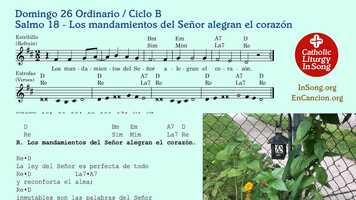 Free download Domingo 26 Ordinario B - Salmo 18 - Los mandamientos del Señor alegran el corazón.mov video and edit with RedcoolMedia movie maker MovieStudio video editor online and AudioStudio audio editor onlin