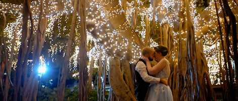 Free download Dominic  Sophia Wedding Highlight Film video and edit with RedcoolMedia movie maker MovieStudio video editor online and AudioStudio audio editor onlin