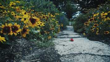 Free download Dom Rivers Playing Both Sides feat. Demon Marcus video and edit with RedcoolMedia movie maker MovieStudio video editor online and AudioStudio audio editor onlin