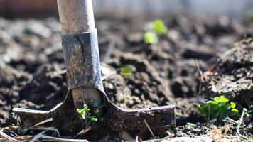 Free download Done - Synergy Life Science Video video and edit with RedcoolMedia movie maker MovieStudio video editor online and AudioStudio audio editor onlin