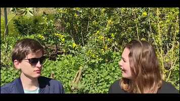 Free download Dont Fade Away - Trailer (EntCom 2021) video and edit with RedcoolMedia movie maker MovieStudio video editor online and AudioStudio audio editor onlin