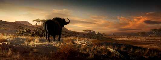 Free download Doppel Le Choc Des Puissants (bloom Ver) video and edit with RedcoolMedia movie maker MovieStudio video editor online and AudioStudio audio editor onlin