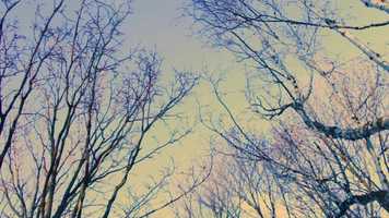 Free download Do Something You Never Dreamed Of video and edit with RedcoolMedia movie maker MovieStudio video editor online and AudioStudio audio editor onlin