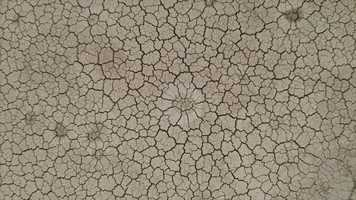 Free download Dover Delaware www.bEpic.com B-Strong Elev8 Life-Changing Product | Coming to: NY NM NJ NH NV NE MT | video and edit with RedcoolMedia movie maker MovieStudio video editor online and AudioStudio audio editor onlin