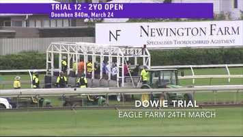 Free download Dowie Trial 24th March: Doomben video and edit with RedcoolMedia movie maker MovieStudio video editor online and AudioStudio audio editor onlin