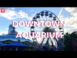 Free download DOWNTOWN AQUARIUM | Stuff to Do in Houston video and edit with RedcoolMedia movie maker MovieStudio video editor online and AudioStudio audio editor onlin