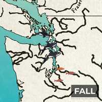 Free download DOW Orca Animation video and edit with RedcoolMedia movie maker MovieStudio video editor online and AudioStudio audio editor onlin