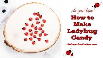 Free download Do You Know How to Make Ladybug Candy | The Bearfoot Baker video and edit with RedcoolMedia movie maker MovieStudio video editor online and AudioStudio audio editor onlin