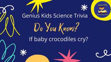 Free download doyouknowtrivia22? video and edit with RedcoolMedia movie maker MovieStudio video editor online and AudioStudio audio editor onlin