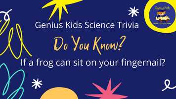 Free download doyouknowtrivia23? video and edit with RedcoolMedia movie maker MovieStudio video editor online and AudioStudio audio editor onlin