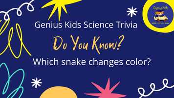 Free download doyouknowtrivia25? video and edit with RedcoolMedia movie maker MovieStudio video editor online and AudioStudio audio editor onlin