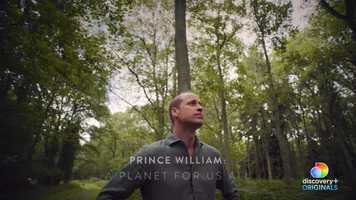 Free download DPlus Prince William Trailer video and edit with RedcoolMedia movie maker MovieStudio video editor online and AudioStudio audio editor onlin