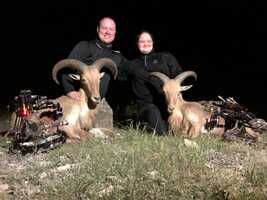 Free download DPO Episode 3 Full Length video and edit with RedcoolMedia movie maker MovieStudio video editor online and AudioStudio audio editor onlin