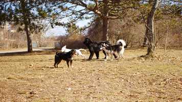 Free download Dramamine - Trailer video and edit with RedcoolMedia movie maker MovieStudio video editor online and AudioStudio audio editor onlin