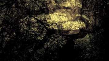 Free download Dream Before I Sleep video and edit with RedcoolMedia movie maker MovieStudio video editor online and AudioStudio audio editor onlin