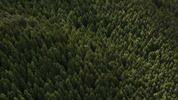 Free download DREAMBOX - Festival Trailer video and edit with RedcoolMedia movie maker MovieStudio video editor online and AudioStudio audio editor onlin