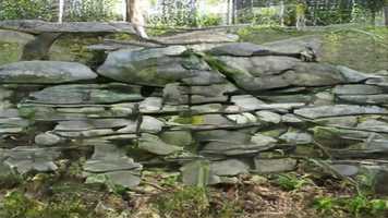 Free download Dreaming aGAN video and edit with RedcoolMedia movie maker MovieStudio video editor online and AudioStudio audio editor onlin