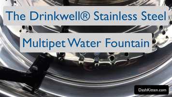 Free download Drinkwell Fountain Movie video and edit with RedcoolMedia movie maker MovieStudio video editor online and AudioStudio audio editor onlin