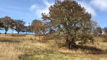 Free download Driving Oak Savannah A (no voice) video and edit with RedcoolMedia movie maker MovieStudio video editor online and AudioStudio audio editor onlin