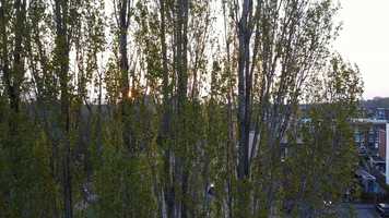 Free download Drone-02 video and edit with RedcoolMedia movie maker MovieStudio video editor online and AudioStudio audio editor onlin