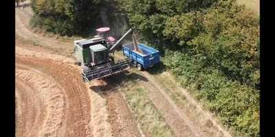 Free download Drone in straw field video and edit with RedcoolMedia movie maker MovieStudio video editor online and AudioStudio audio editor onlin