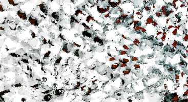 Free download Drops video and edit with RedcoolMedia movie maker MovieStudio video editor online and AudioStudio audio editor onlin