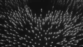 Free download Drowning on Nothing - ZEKI (Audio) video and edit with RedcoolMedia movie maker MovieStudio video editor online and AudioStudio audio editor onlin