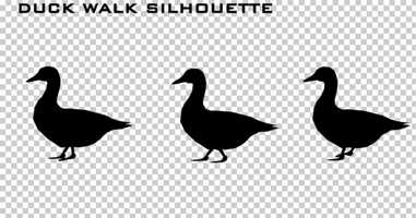 Free download Duck Walk Silhouette Animation | Motion Graphics - Envato elements video and edit with RedcoolMedia movie maker MovieStudio video editor online and AudioStudio audio editor onlin