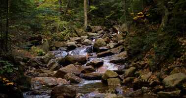 Free download Dukes of Cinema Cut 4_extended.mp4 video and edit with RedcoolMedia movie maker MovieStudio video editor online and AudioStudio audio editor onlin