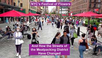 Free download During NYCs Flower Festival we Revisit the Street History of the Meatpacking District video and edit with RedcoolMedia movie maker MovieStudio video editor online and AudioStudio audio editor onlin