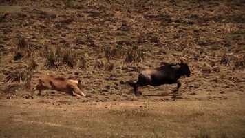 Free download Dynamic Drive TV program presentation video and edit with RedcoolMedia movie maker MovieStudio video editor online and AudioStudio audio editor onlin