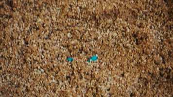 Free download Dystopia Desert video and edit with RedcoolMedia movie maker MovieStudio video editor online and AudioStudio audio editor onlin