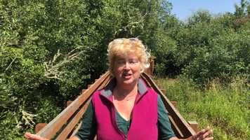 Free download E3a2 Wetlands video and edit with RedcoolMedia movie maker MovieStudio video editor online and AudioStudio audio editor onlin