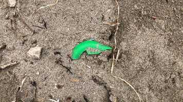 Free download E3a4 Beach Debris video and edit with RedcoolMedia movie maker MovieStudio video editor online and AudioStudio audio editor onlin