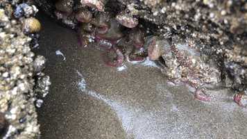 Free download E3b2 Microhabitat View B video and edit with RedcoolMedia movie maker MovieStudio video editor online and AudioStudio audio editor onlin