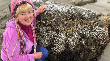 Free download E3b2 Rock Community video and edit with RedcoolMedia movie maker MovieStudio video editor online and AudioStudio audio editor onlin