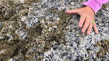 Free download E3b2 Tide Rock Community video and edit with RedcoolMedia movie maker MovieStudio video editor online and AudioStudio audio editor onlin