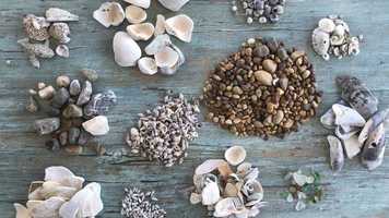 Free download E3b6 Beachcombing video and edit with RedcoolMedia movie maker MovieStudio video editor online and AudioStudio audio editor onlin