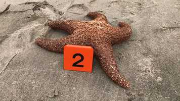 Free download E3B Marine  Climate video and edit with RedcoolMedia movie maker MovieStudio video editor online and AudioStudio audio editor onlin