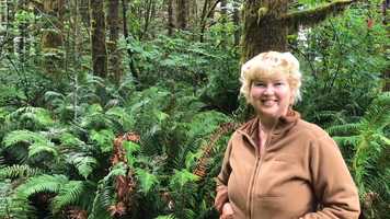 Free download E4a1 Forest Understory video and edit with RedcoolMedia movie maker MovieStudio video editor online and AudioStudio audio editor onlin