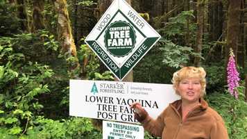 Free download E4a1 Managed Forest video and edit with RedcoolMedia movie maker MovieStudio video editor online and AudioStudio audio editor onlin