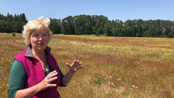 Free download E4a2 Ecotone video and edit with RedcoolMedia movie maker MovieStudio video editor online and AudioStudio audio editor onlin