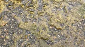 Free download E4a4 Life Finds a Way video and edit with RedcoolMedia movie maker MovieStudio video editor online and AudioStudio audio editor onlin