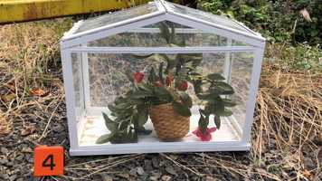 Free download E4A Terrestrial Biomes video and edit with RedcoolMedia movie maker MovieStudio video editor online and AudioStudio audio editor onlin