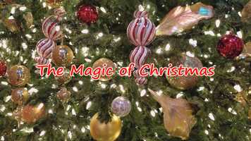Free download E Alan Enterprises, LLC and E Alan Productions Presents, The Magic of Christmas 2020  Promotional Reel video and edit with RedcoolMedia movie maker MovieStudio video editor online and AudioStudio audio editor onlin