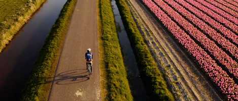 Free download Early morning ride video and edit with RedcoolMedia movie maker MovieStudio video editor online and AudioStudio audio editor onlin